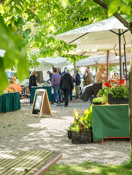 Wirtschaft und Arbeitsmarkt