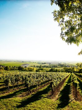 Kleinregionale Identität und Bewusstseinsbildung