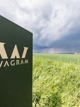 Gesundheit und Soziales